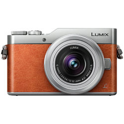 Panasonic Lumix DC-GX800 Compact System Camera with 12-32mm Interchangeable Lens, 4K Ultra HD, 16MP, 4x Digital Zoom, Wi-Fi, 3 Tiltable LCD Touch Screen Orange